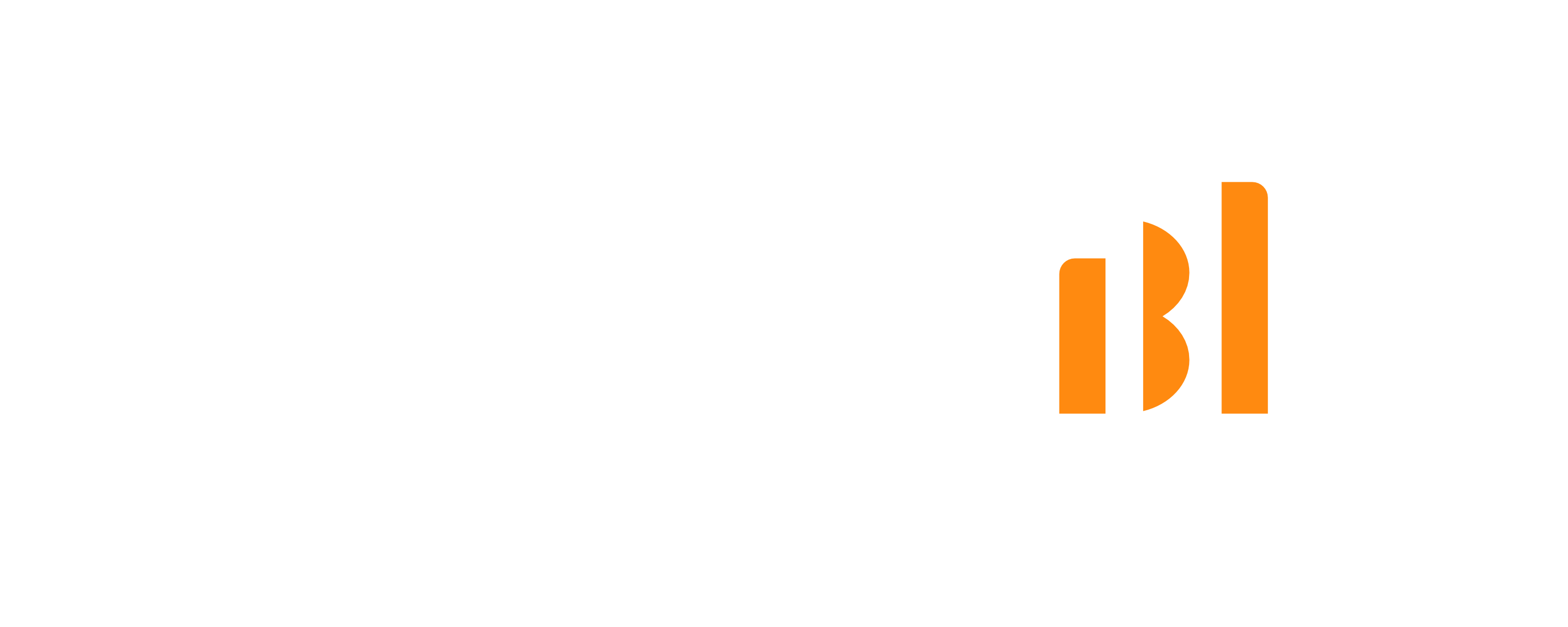 Results BI